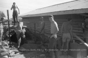 Bunker-building020