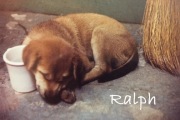 Ralph