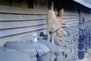 S-PBS-Ralph-Nha-Trang-1970-71