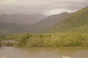 S50